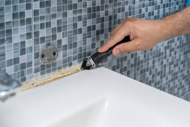 Best Residential Mold Removal  in Bodega Bay, CA